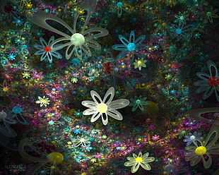 floral themed 3d wallpaper HD wallpaper